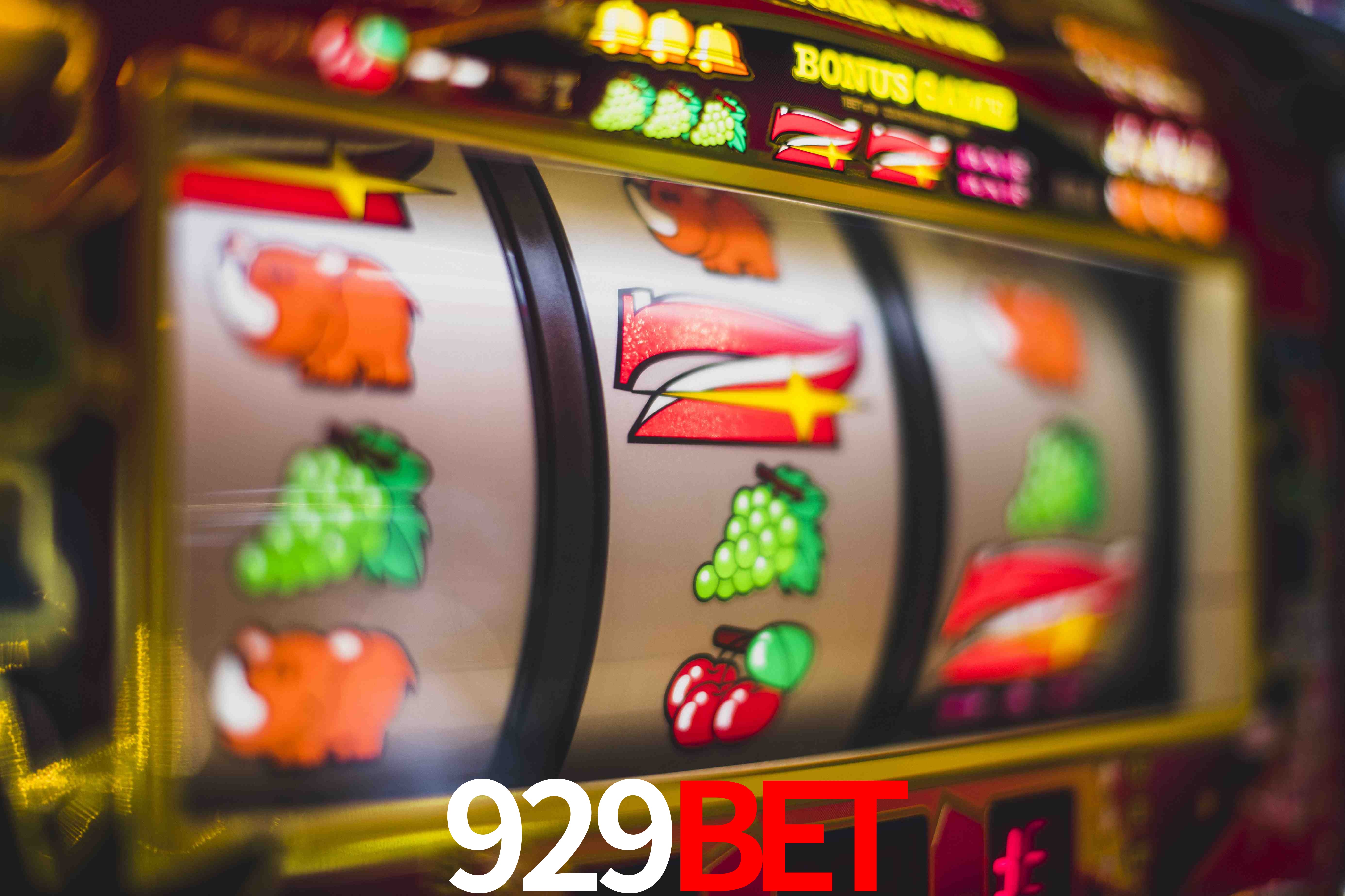 Tennis Betting 929bet